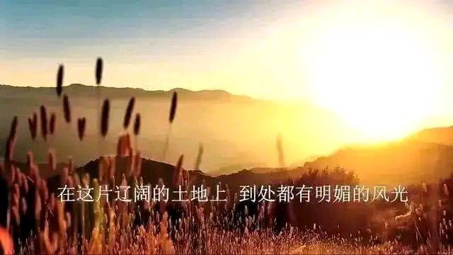 岳飞故里现在是什么样，岳飞故里迎来“一等功臣”