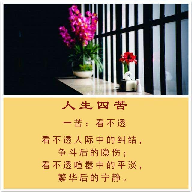 人生四苦四喜四得，人生：四苦