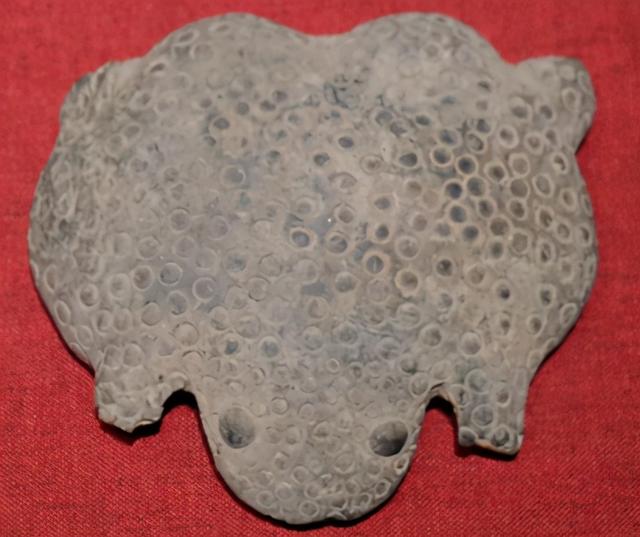 夏朝存在过吗，别丢弃了距今4.8千年在阿富汗的