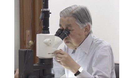 日本历代天皇列表，日本天皇历史全集（日本武烈天皇：9岁上位）