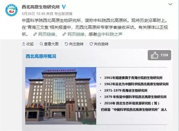 三文鱼和虹鳟鱼的区别看外观，连农国栋师傅都弄错的问题