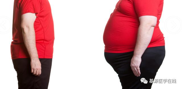 生酮饮食对照表来啦，生酮饮食对照表来啦