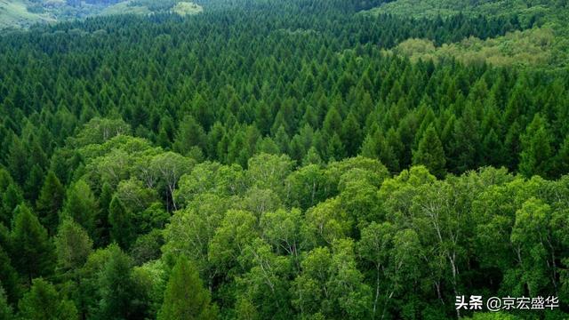承德坝上草原全景，承德如画美景丰宁坝上草原