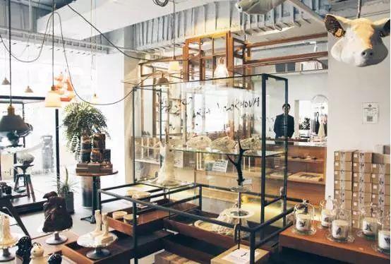 上海最好玩的地方，上海必须去玩的地方有哪些（去上海十个必打卡地）