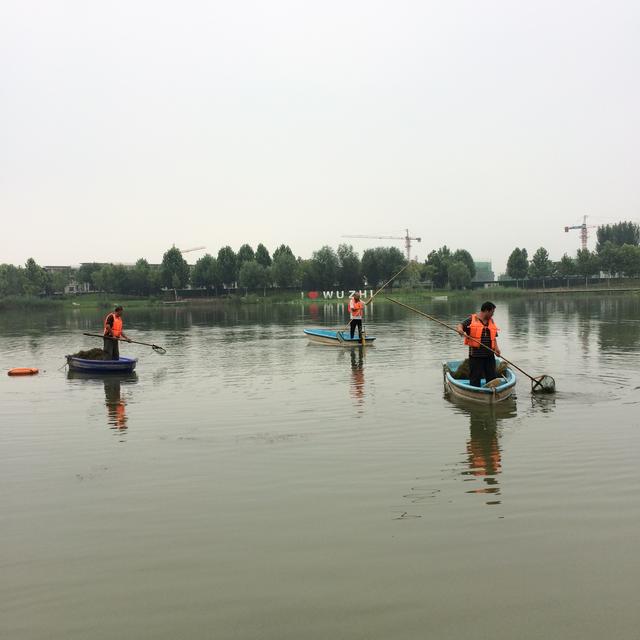 美丽的龙泽湖公园，龙溪湖湿地公园漂亮的地方