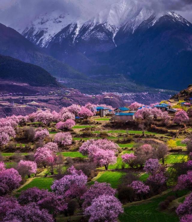 3月旅游的最佳地点，3月去什么地方旅游最好呢（三月份旅游一定要去的六个地方）