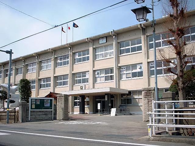 旭日旗和太阳旗是什么意思，韩国对日本示好又双叒被泼了冷水