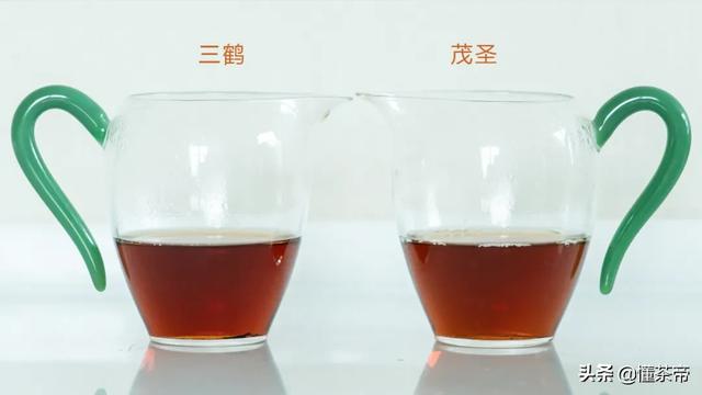 六堡茶有几种品质，评测六堡茶最知名两大品牌硬核PK