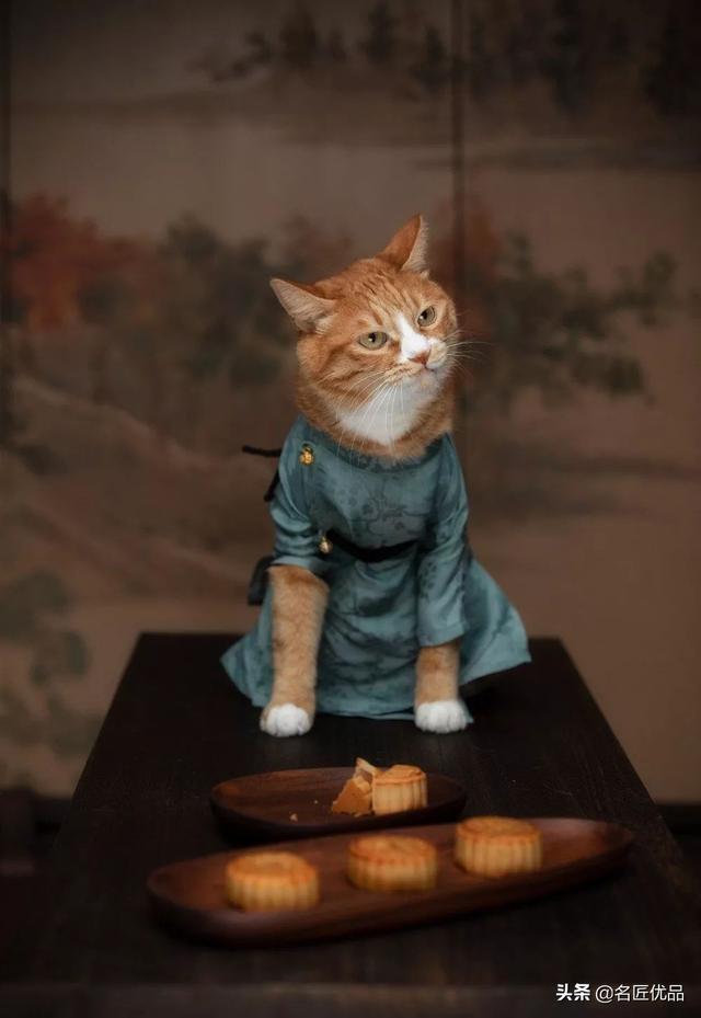 了解一下汉服制作过程，做外贸，一些好用的软件推荐