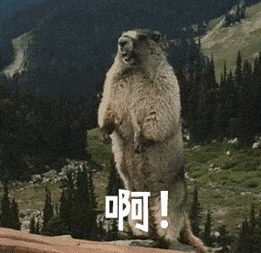 行尸走肉第十一季最后boss，行尸走肉第十季开战