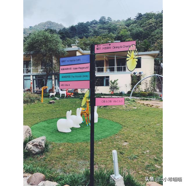 塞伦盖蒂大草原，塞伦盖蒂大草原和克鲁格公园