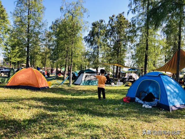 广州自驾露营有哪些地方，广州这5个地方真是绝了