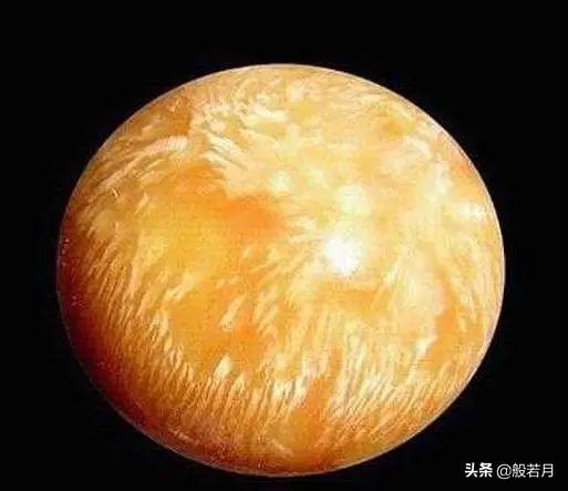 砗磲和白蝶贝，你只知道贝王砗磲