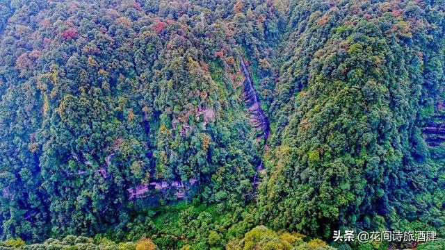 四川雅安附近又一野生动物园开业，四川雅安熊猫基地动物园
