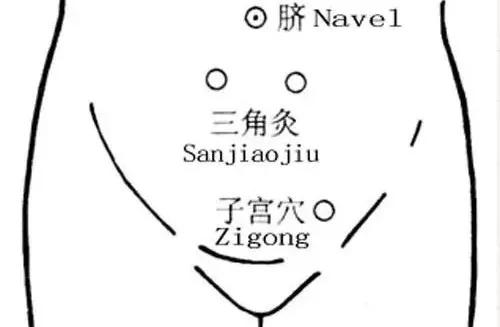 脏器排毒时间表，人体六大器官排毒时间表（器官真的会按照时间表排毒吗）