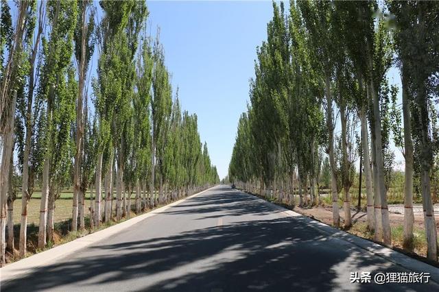 我们瓜州的特产有什么，瓜州县以前叫安西县