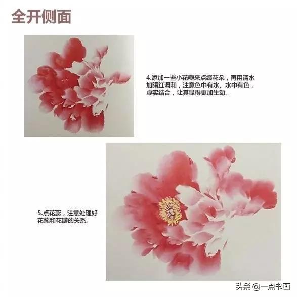 牡丹花头的画法对照表，写意牡丹花头的各种画法