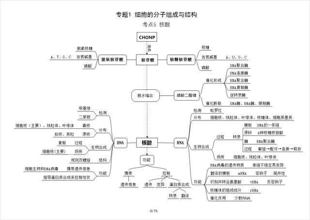高中生物必修一思维导图，高中生物必修一全部思维导图（高中生物必修1思维导图）