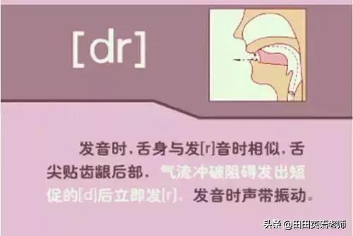 英语音标怎么学，初学英语者必看如何学习国际音标（资深老教师说：音标就该这样学）