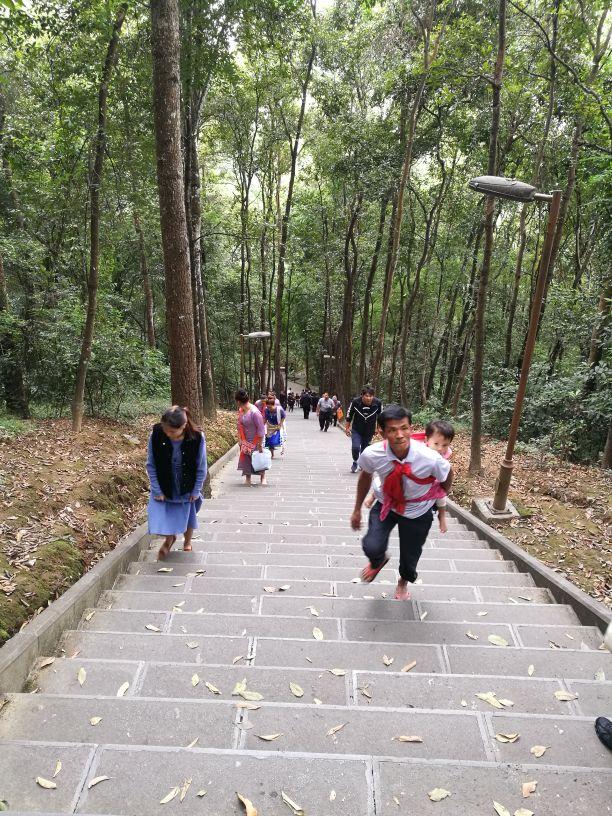 勐巴娜西珍奇园，一个美丽的地方云南德宏芒市（到芒市必玩的一个地方）