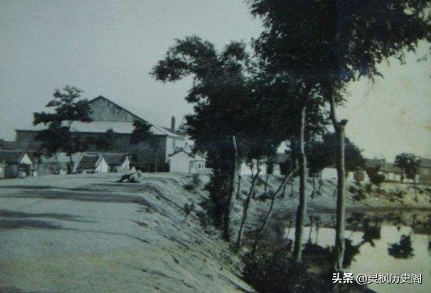 冰心被称为什么，冰心的原名是什么它被称为什么