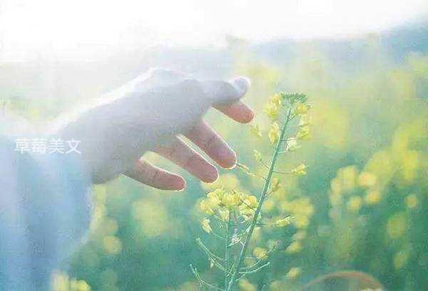 人生得一知己足矣，名言人生得一知己足矣（人生一辈子）