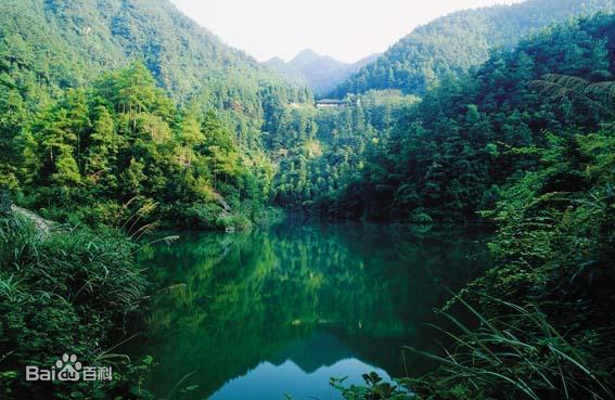 四明山国家森林公园，四明山国家公园景区