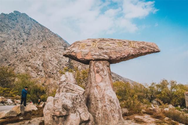 银川城区有哪些景点免费游玩，好玩又不能错过