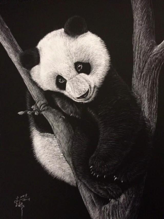 刮刮画作品大赏，刮画被他玩到极致