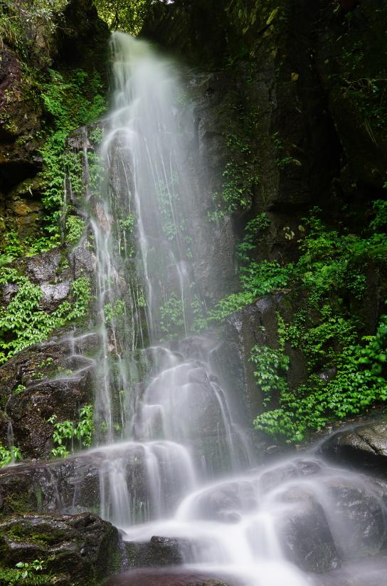 武功山旅游攻略，武功山旅游攻略一日游（江西武功山\u0026仙凤三宝亲子游记）