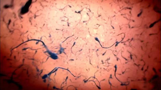 性教育的现状及其分析，但凡性教育的起点