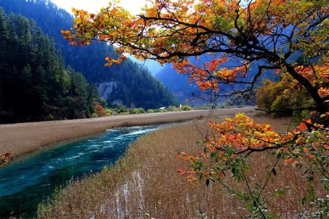 国庆节九寨沟旅游攻略，这份攻略请收好