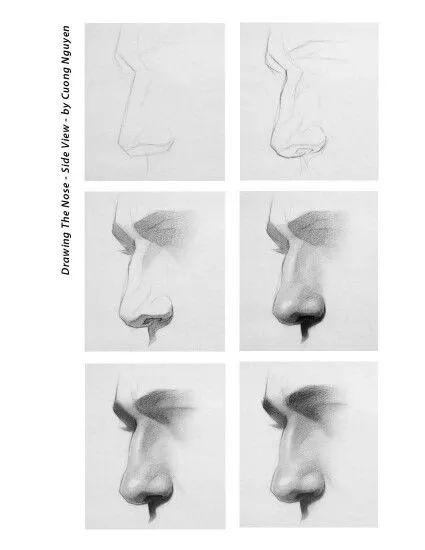 素描画五官详解，素描五官深度剖析