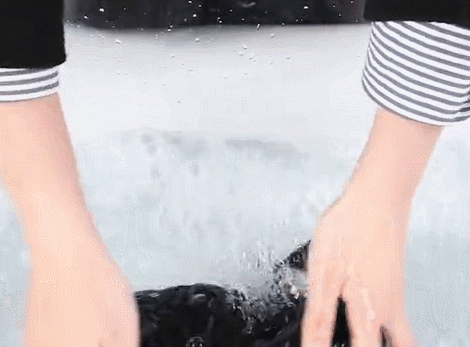 吴昕小粗腿搭配，吴昕小粗腿变女神腿