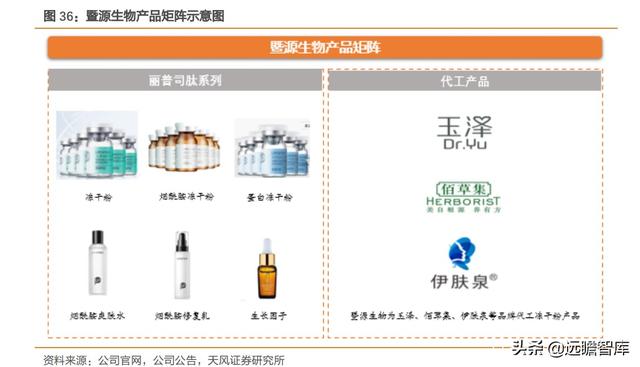胶原蛋白肽前景，胶原蛋白在美丽和健康领域拥有广阔前景