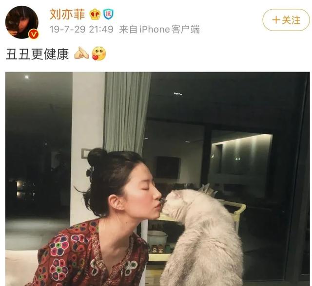 如今的刘亦菲依旧风采迷人，不管正面看还是背后看