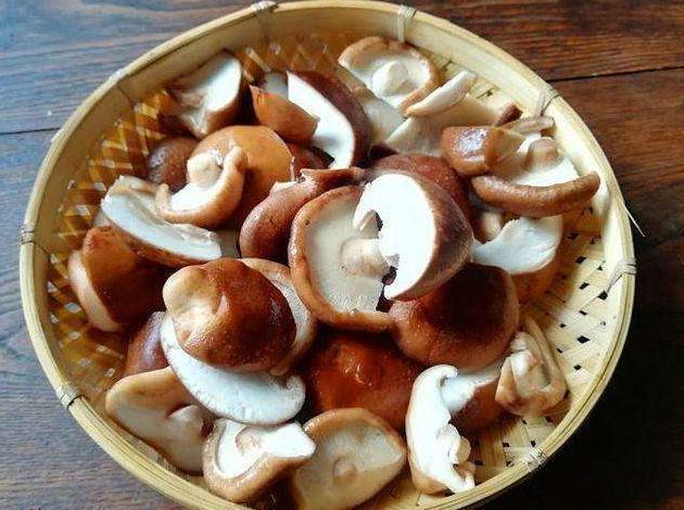 香菇怎么洗才干净，正确洗香菇的方法