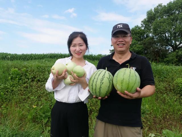 长白猪分几种，很多养猪人也分不清