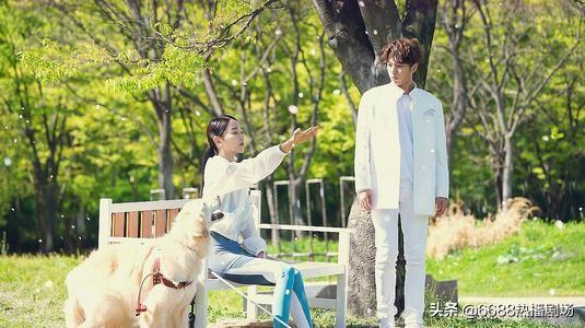 最好看的韩国爱情剧，30部甜甜的韩国浪漫爱情剧