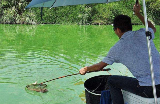 多少气压适合钓鱼，气压在什么情况下适合钓鱼（钓不到鱼不要愁）