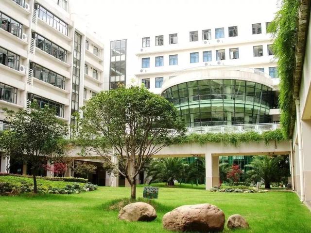 上海十大最难进的小学，上海菜小的逆袭