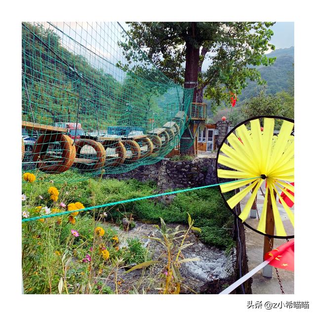 塞伦盖蒂大草原，塞伦盖蒂大草原和克鲁格公园