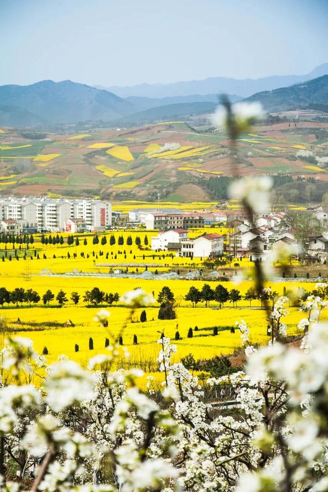 3月旅游的最佳地点，3月去什么地方旅游最好呢（三月份旅游一定要去的六个地方）