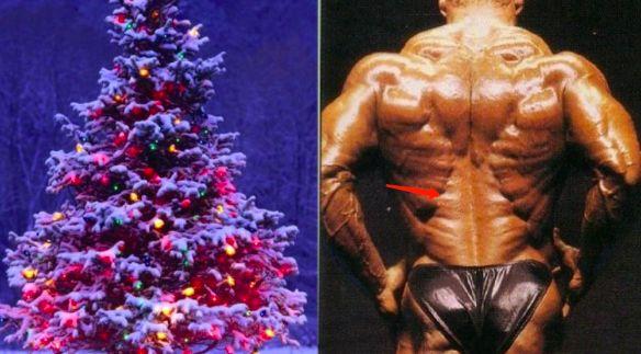 在健身房怎样练人鱼线，9种人鱼线锻炼动作