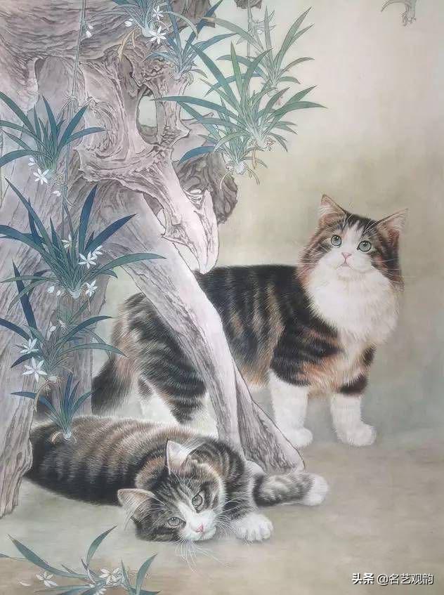 100种小猫怎么画，100种画真猫的画法（教你在纸上养个主子）