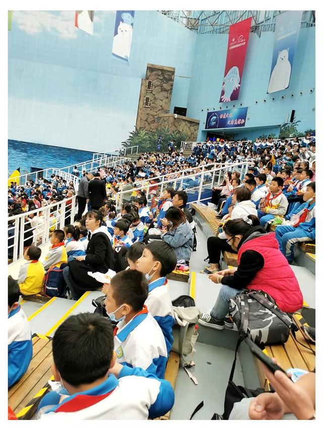 天津海昌极地海洋公园旅游攻略，带着孩子去看鱼