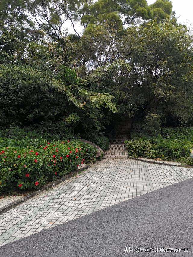 深圳市南山区中山公园，广东省深圳市中山公园