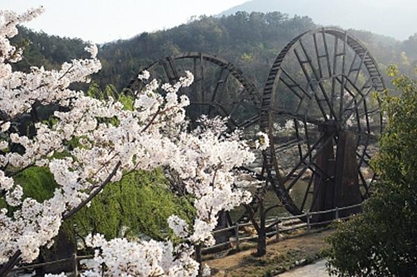 湖北有什么好玩的，湖北旅游必去的景点排名（湖北十大必玩景点，你去过几个）