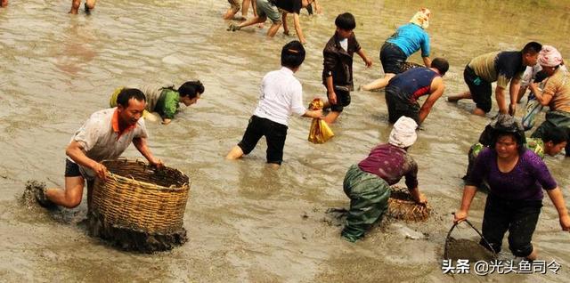 黄鳝钩哪个钩型好，老把头分享钓黄鳝选钩的方式（钓黄鳝用什么钩型好用）