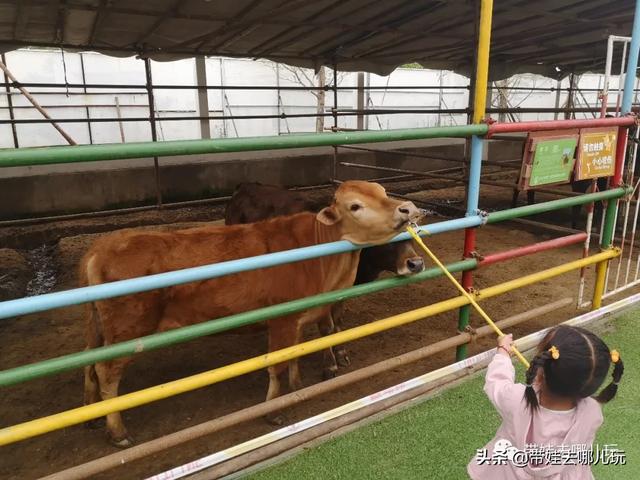 南宫旅游十大必去景点，假日乡村打卡丨夏日来南宫看民族主题花车巡游